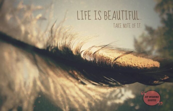 Quotes About Beautiful Life