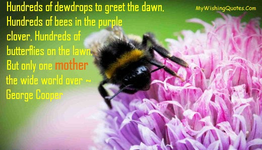 Mother Day Wishes We Have Collected A Lot Of Wishes