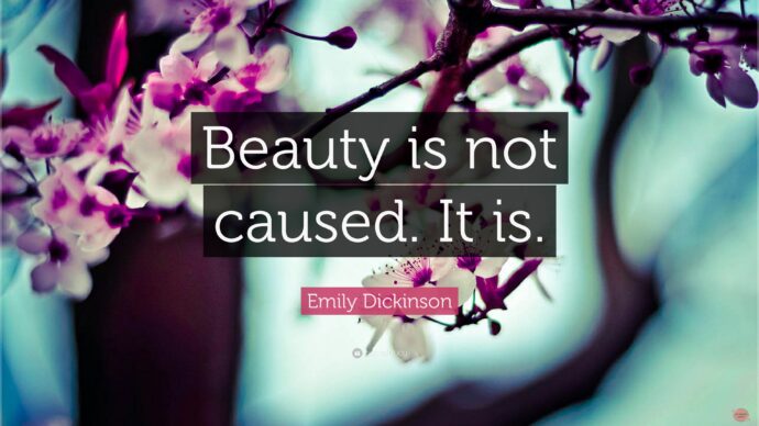 Best Beauty Quotes And Beauty Saying, Inspirational Words About Beauty ...