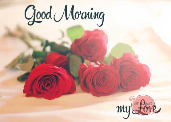 Good Morning Wishes For Lover