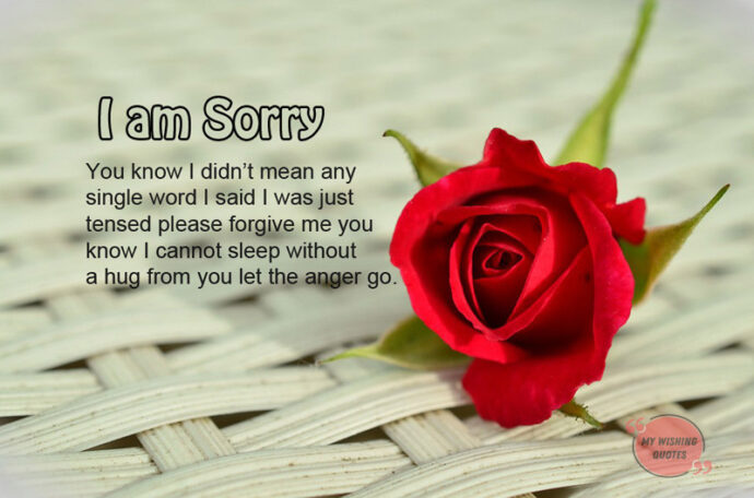 Sorry text for her