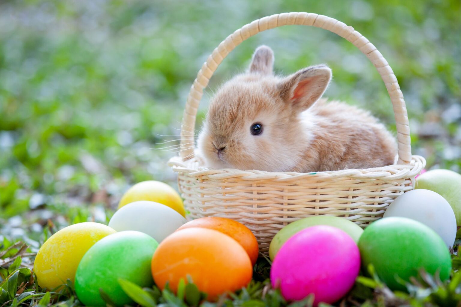 what-is-easter-monday-easter-greetings-sayings