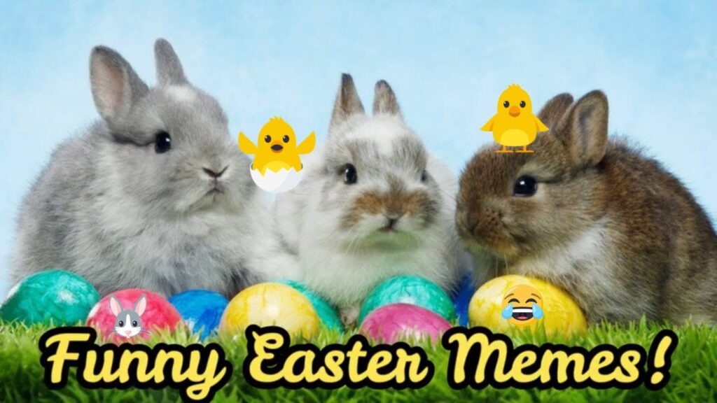 Easter Meme Funny Easter Quotes Event Of The Christian Community