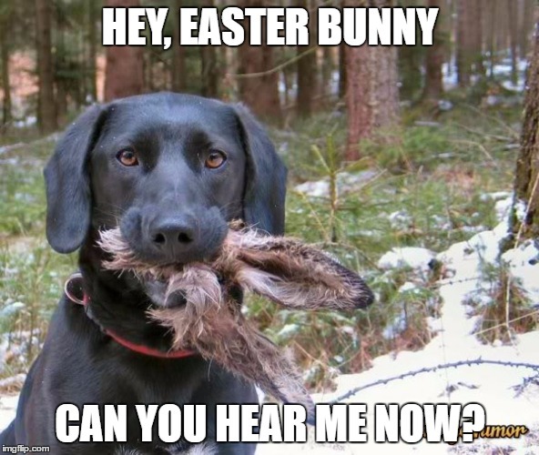 Easter Meme