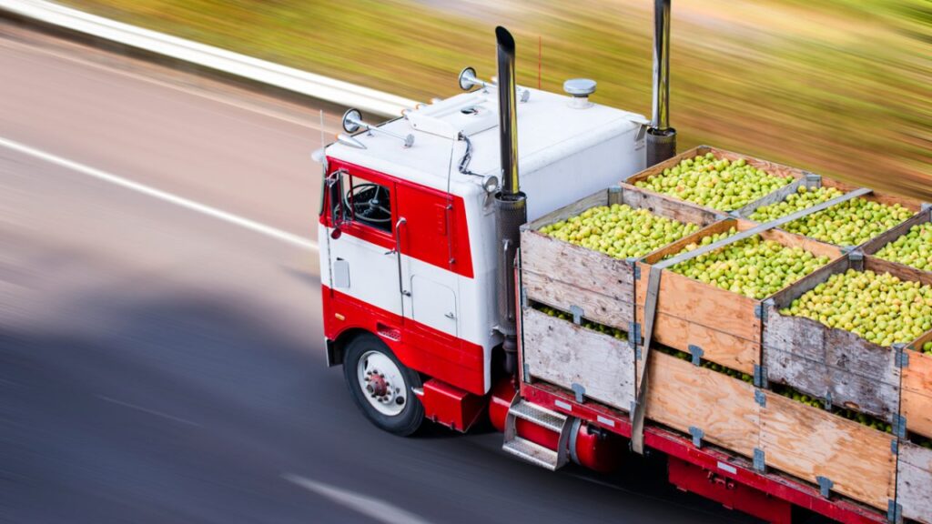 Exploring Global Fruit Logistics 2023 Guide